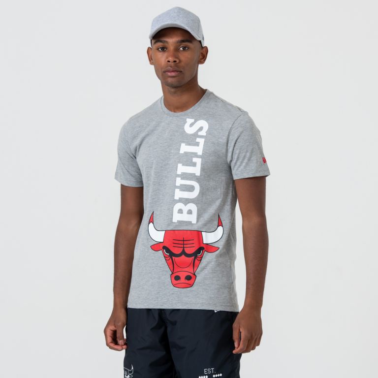 Ropa New Era Nba Grises - Chicago Bulls Logo Tee 98254VMQY